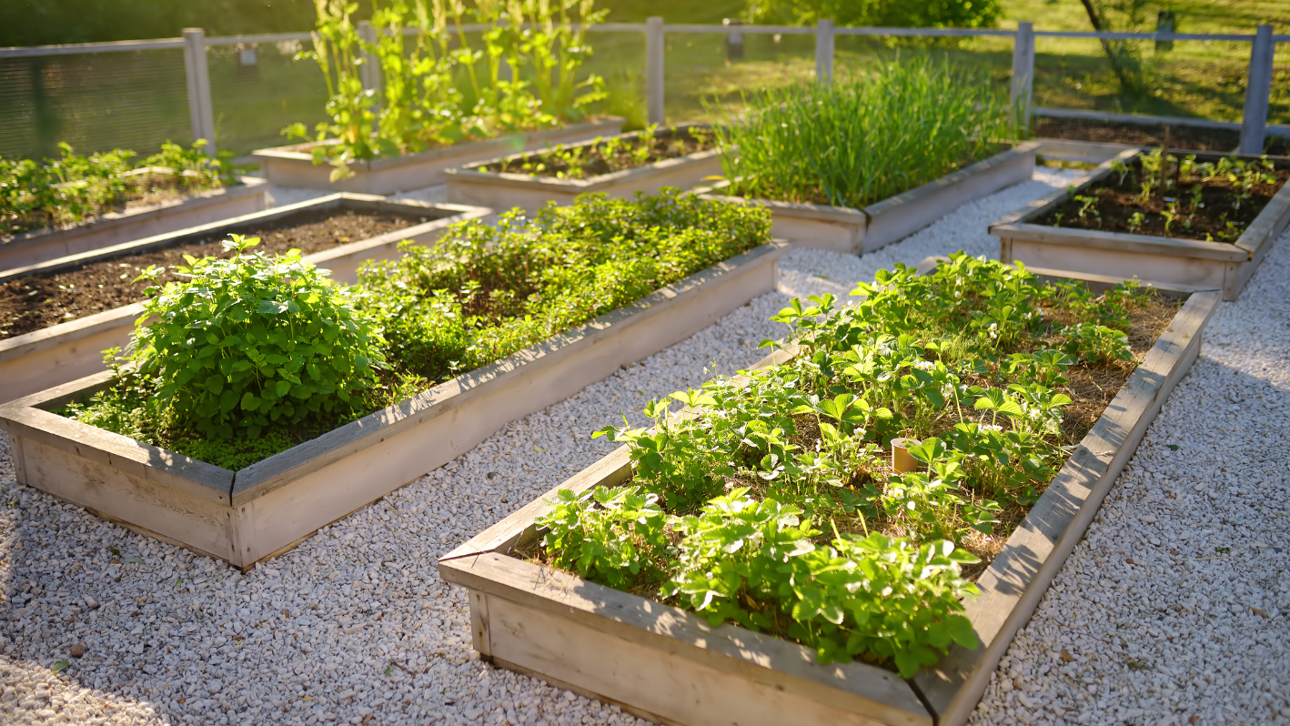 A garden filled with lots of different types of plants